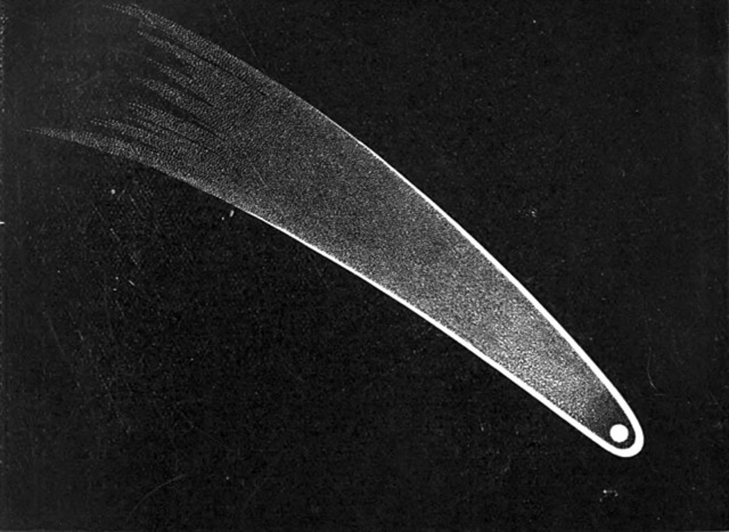 Photo of a comet